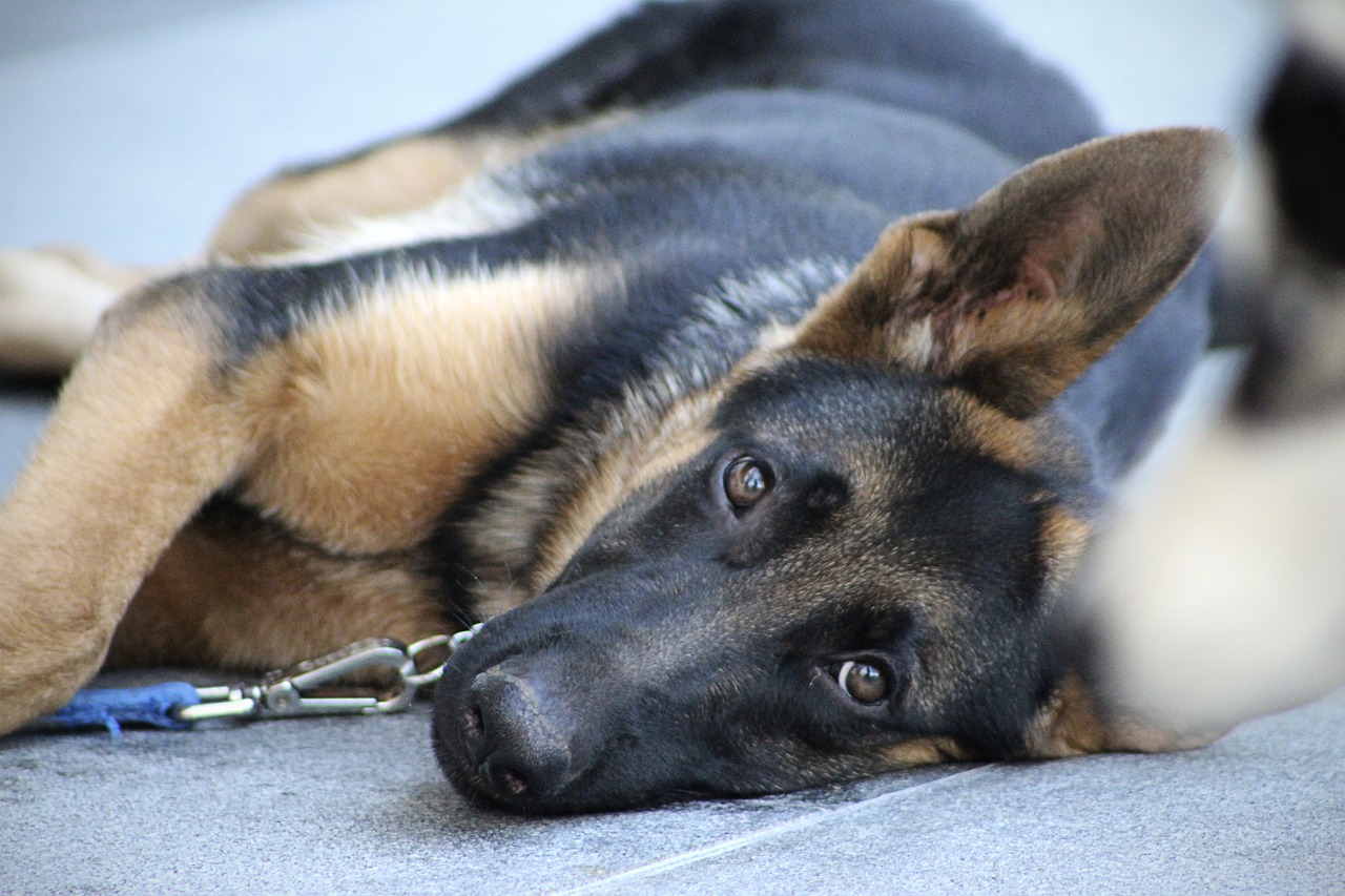 Psychological Benefits of Consistent Self Defense Training
